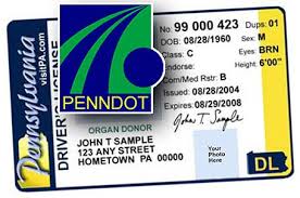 pa drivers license